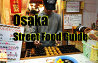 Street food guide to Dotonbori Osaka Japan
