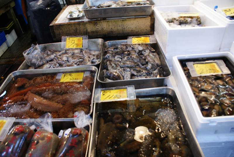 Tsukiji Market seafood