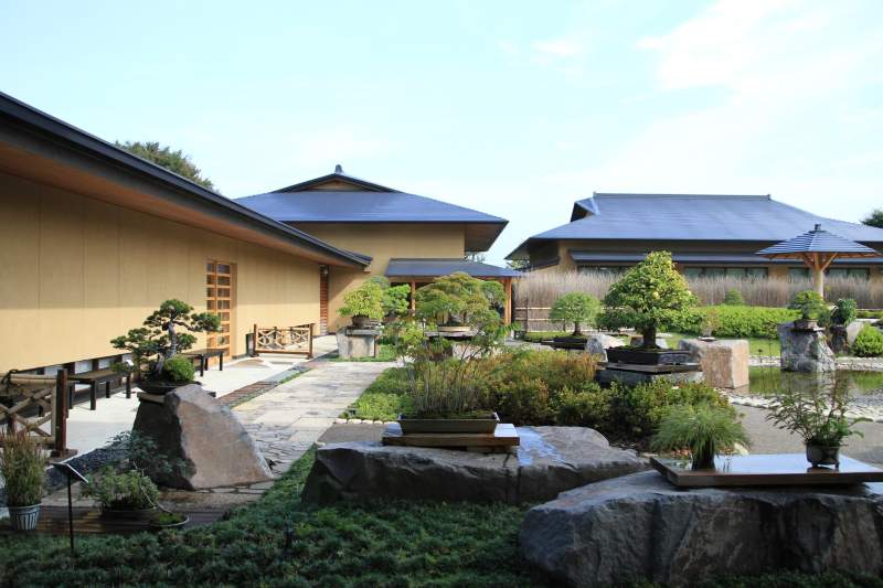 omiya bonsai museum