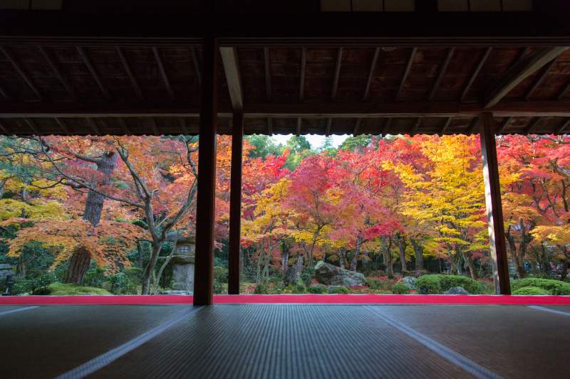 Kyoto Autumn Leaves Enkoji