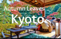 Beautiful autumn leaf colors seen in Kyoto, Japan