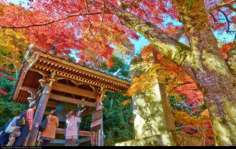 kyoto nisonin temple autumn