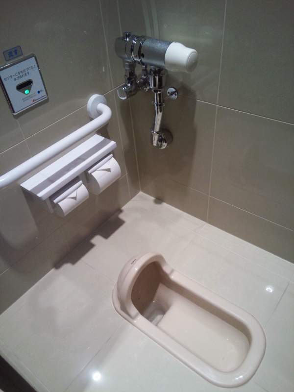 Japan squat type toilet