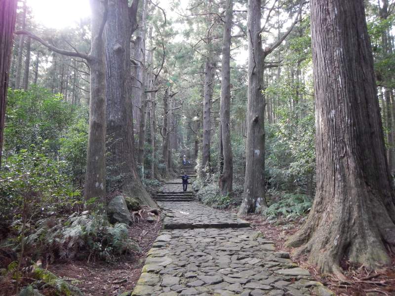Kumano Kodo hiking