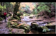 Hiking on Beautiful Valley in Japan’s Quasi-National Park