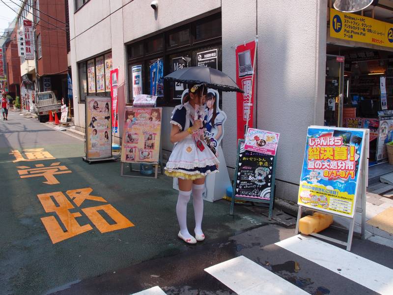 maid cafe promotion girl