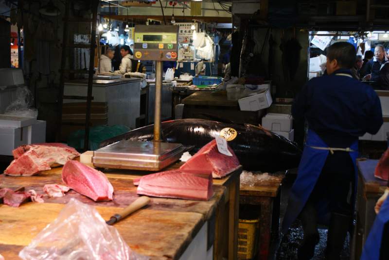 Tsukiji Market tuna