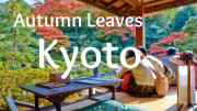 kyoto-autumn-feature-image