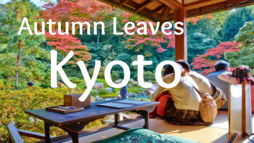 Kyoto Autumn Leaves