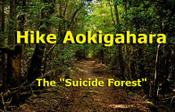 Take a hike in Japan’s “suicide forest” Aokigahara at base of Mt. Fuji