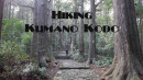 kumano-kodo-hiking-featured-image