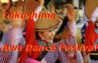 Tokushima Awa Dance Festival – Japan’s largest dance festival