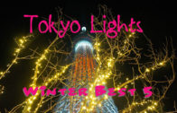 Tokyo Top Winter Illumination Locations 2017/2018